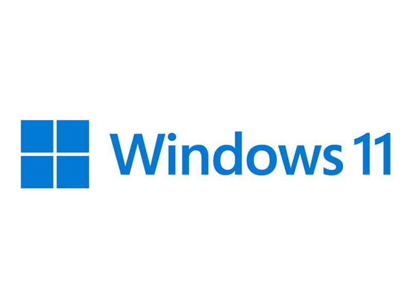 MS Windows 11 HOME FPP 64-bit French USB Flash Drive
