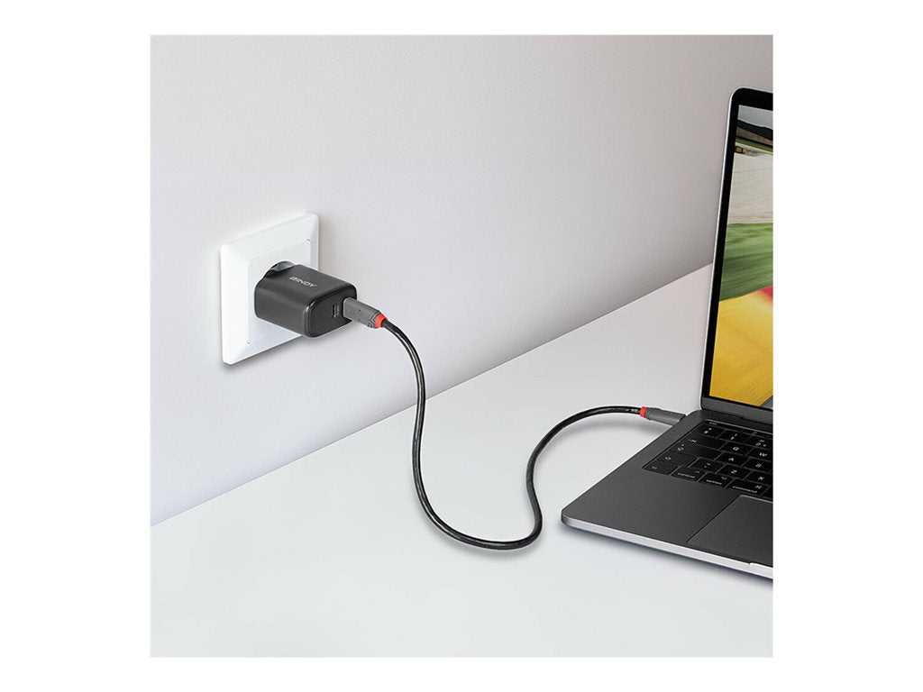 LINDY LINDY 65W USB 2 x Type C GaN Charger