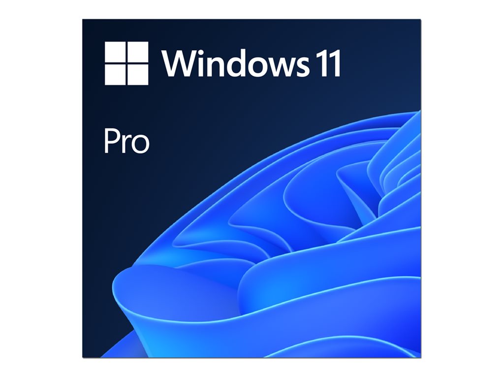 MS ESD Windows Professional 11 64-bit All Languages Online Product Key License 1 License Downloadable ESD NR