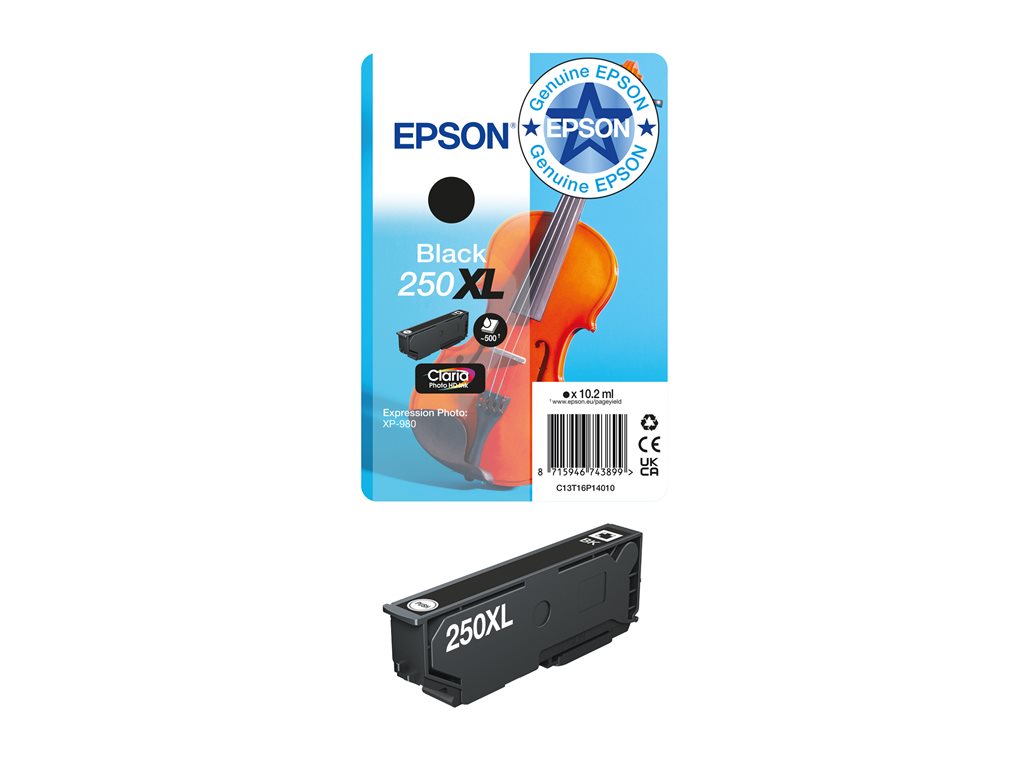 EPSON EPSON Singlepack Black 250XL ink