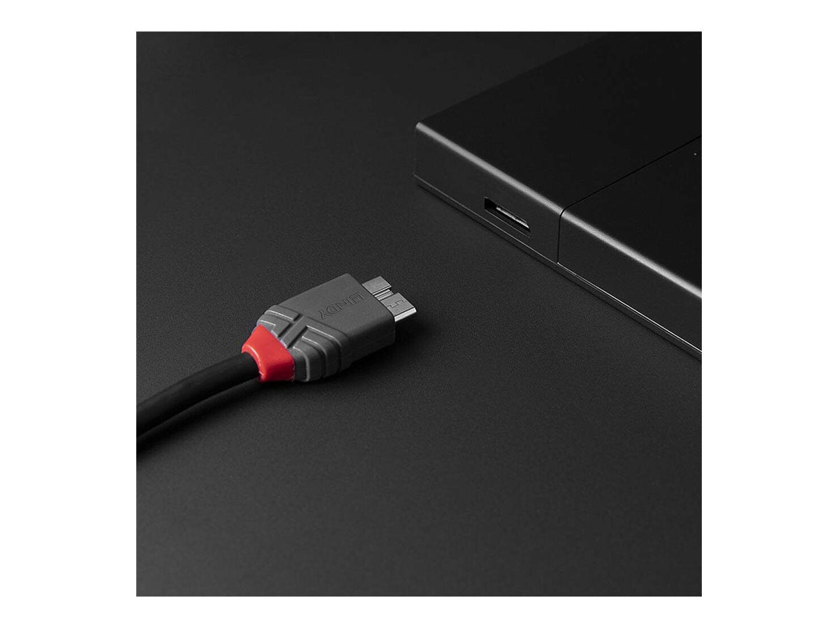 LINDY 2m USB 3.2 Type C to Micro-B Cable Anthra Line