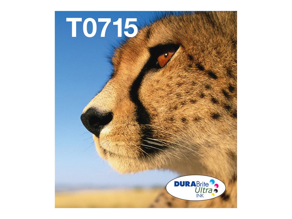 EPSON 2LB EasyMail MP Cheetah DURABrite Ultra CMYK