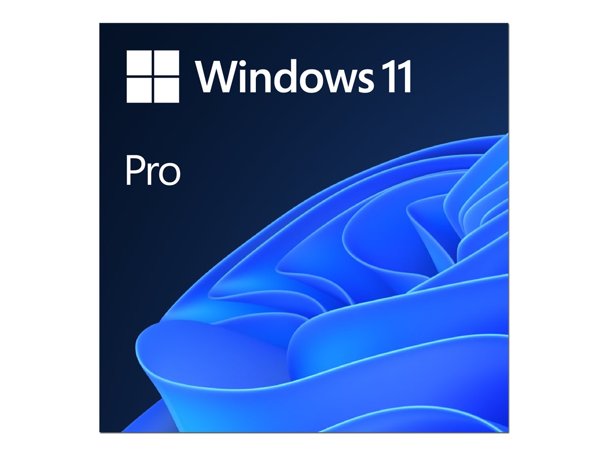 MS ESD Windows Professional 11 64-bit All Languages Online Product Key License 1 License Downloadable ESD NR