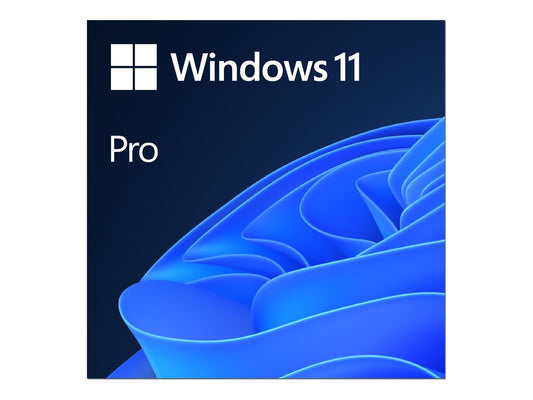 MS ESD Windows Professional 11 64-bit All Languages Online Product Key License 1 License Downloadable ESD NR