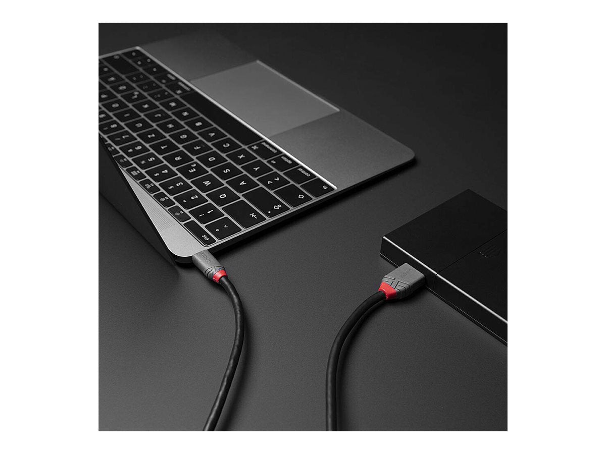 LINDY 2m USB 3.2 Type C to Micro-B Cable Anthra Line