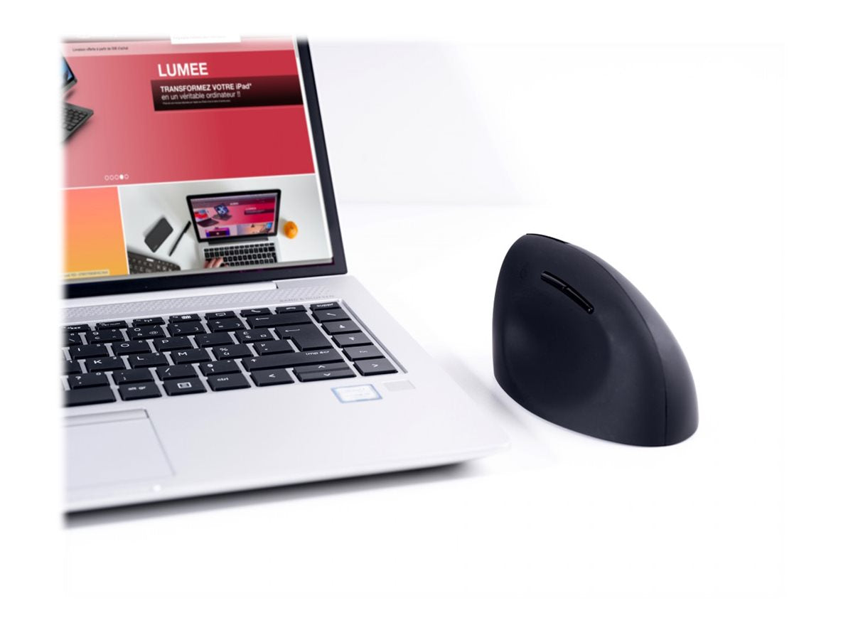 URBAN FACTORY Ergo Souris Sans Fil 2.4GHZ Droitier