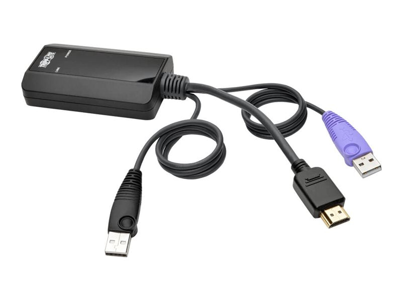 EATON NetDirector HDMI USB Server Interface Unit with Virtual Media and CAC Support B064-IPG Series USB and HDMI