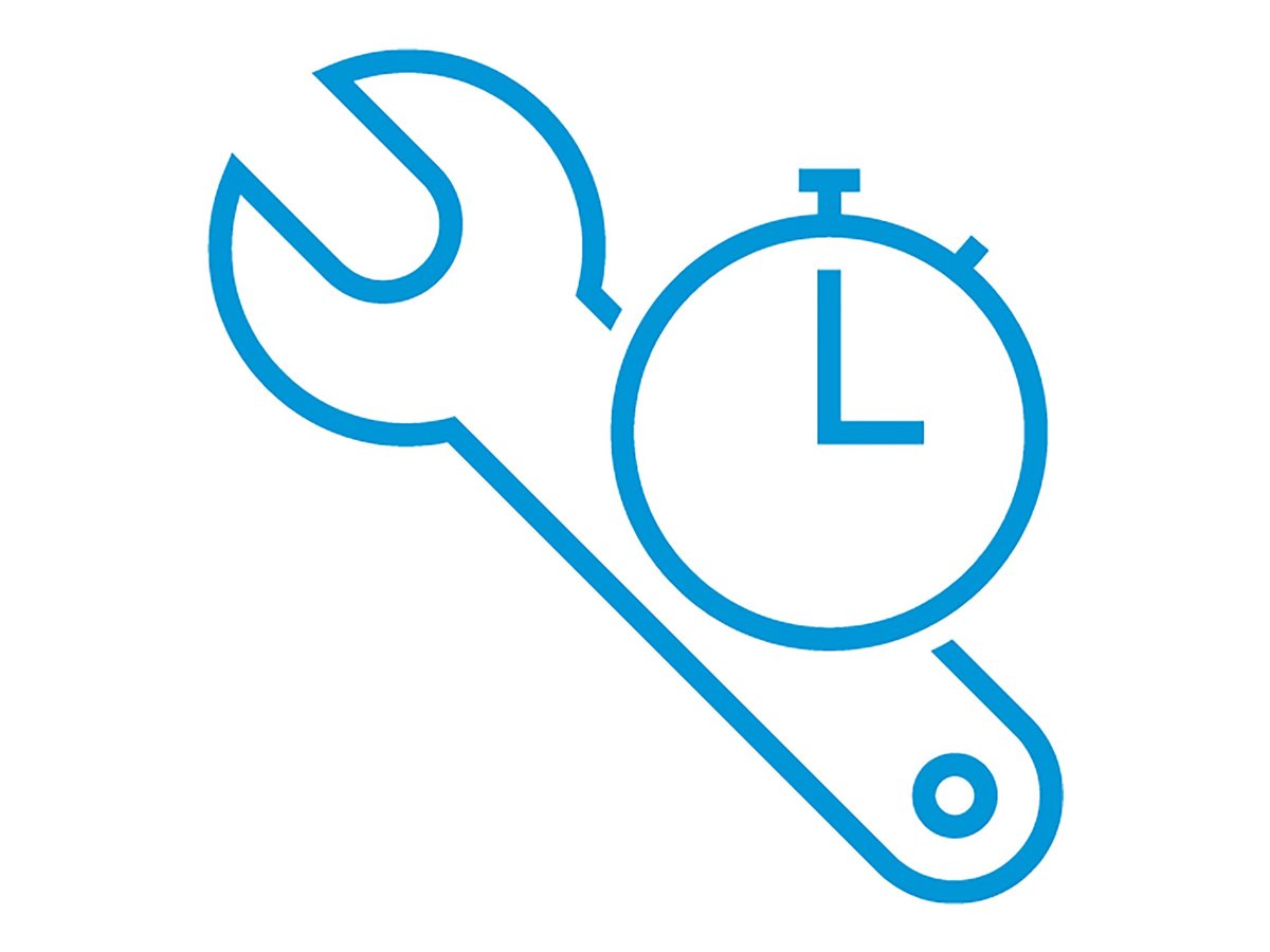 HP Inside Delivery Service WS
