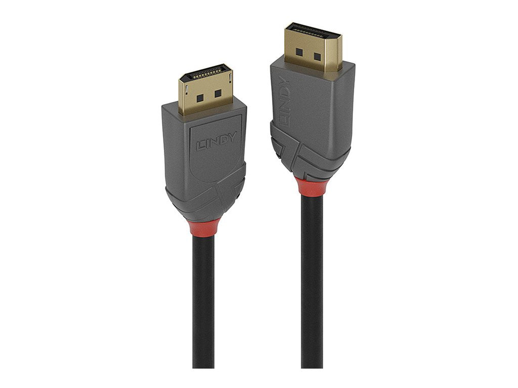 LINDY Câble DisplayPort 1.4 Anthra Line 0.5m