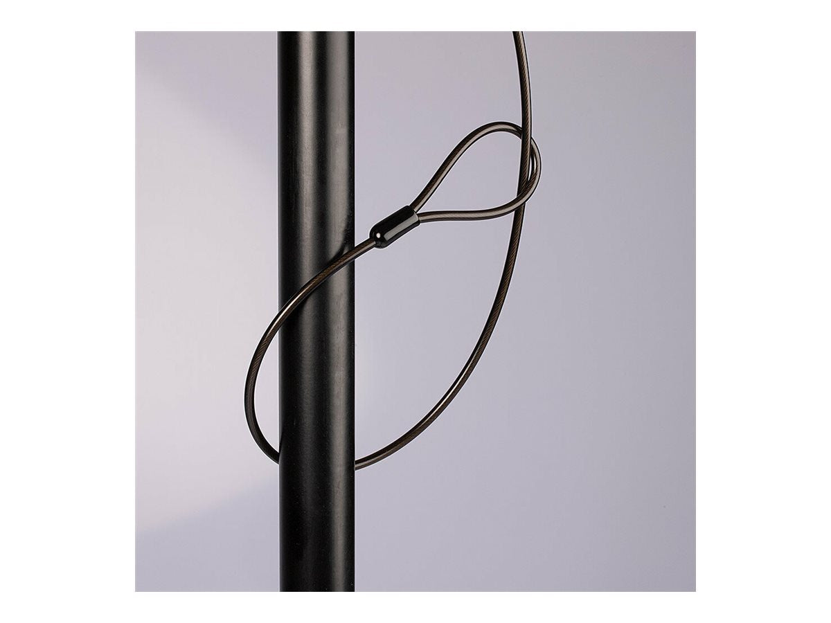 LINDY Notebook Security Cable