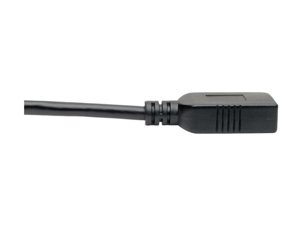 EATON TRIPPLITE USB-C to USB-A Adapter M/F USB 3.1 Gen 1 5 Gbps USB-IF Certified Thunderbolt 3 Compatible 6p 15.24cm