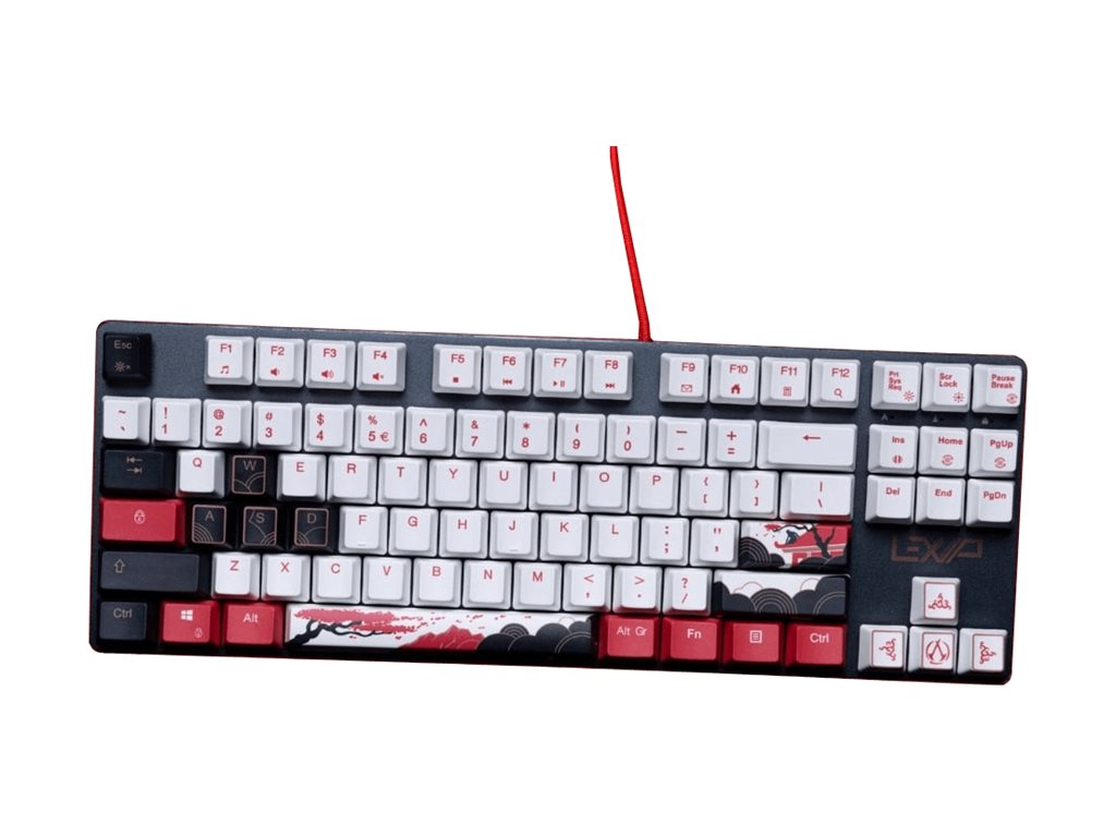 LEXIP X UBISOFT Assassins Creed Clavier QWERTY Shadows